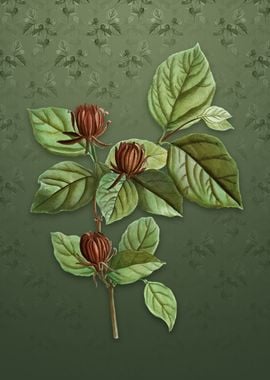 Carolina Allspice Flower