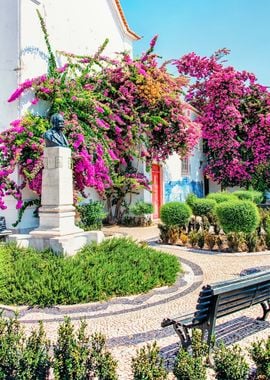 Bougainvillea in Lisbon