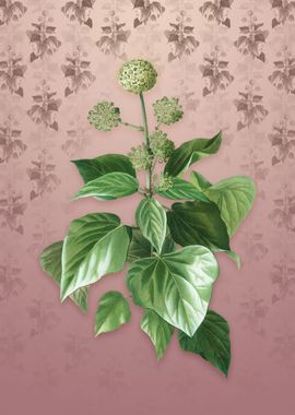 Common Ivy on Dusty Pink