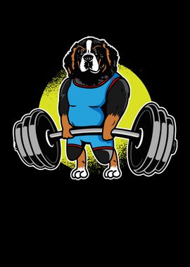 Newfoundland Weightlifting