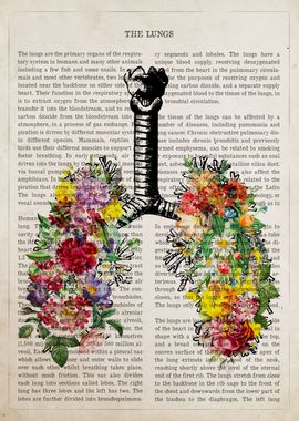 Human Lungs Anatomy