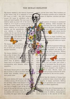 Human Skeleton Anatomy