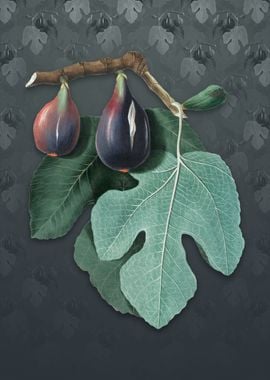 Vintage Fig on Slate Gray