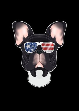 French Bulldog USA Frenchi