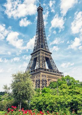 Garden In Paris