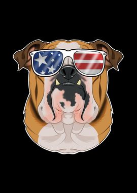 English Bulldog USA