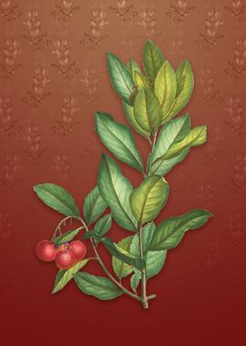 Vintage Strawberry Tree