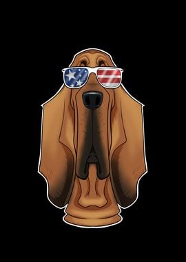 Bloodhound USA Sunglasses