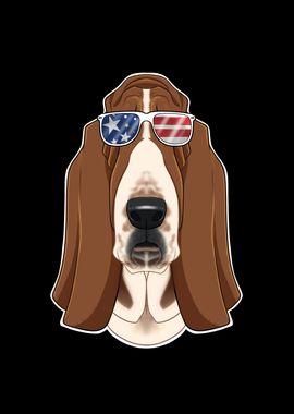 Basset Hound USA