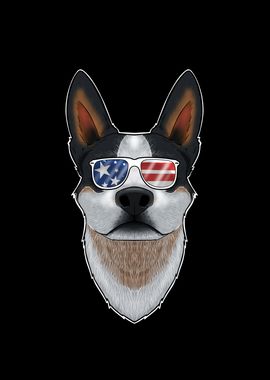 Australian Cattle Dog USA