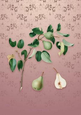 Vintage Pear on Dusty Pink