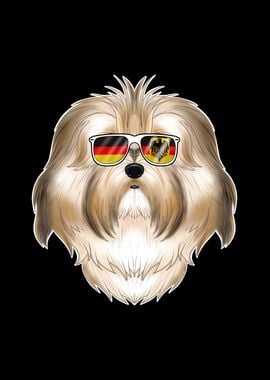 Havanese Germany