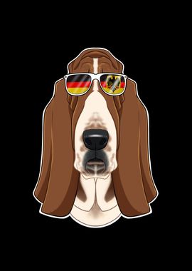 Basset Hound Germany