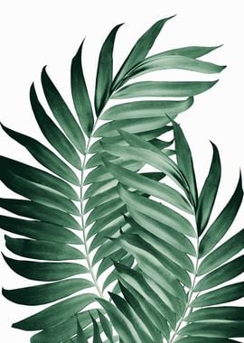 Palm Leaves Green 5