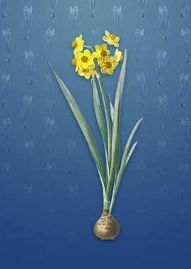 Daffodil on Bahama Blue