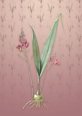 Pine Pink on Dusty Pink