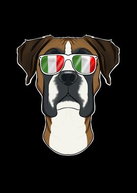 Boxer Italy Sunglasses