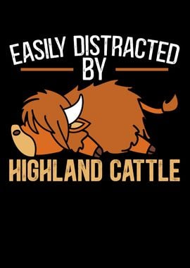 Highland Cattle