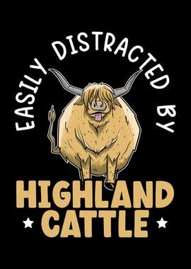 Highland Cattle