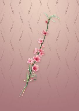 Vintage Peach Blossoms