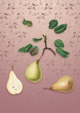 Vintage Pear on Dusty Pink