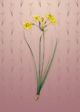 Vintage Rush Daffodil