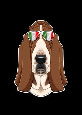 Basset Hound Italy