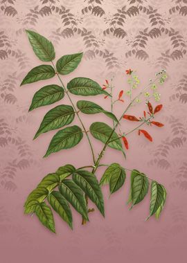 Vintage Tree of Heaven