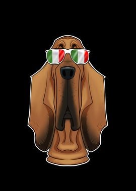 Bloodhound Italy