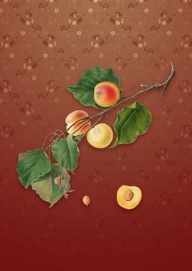 Vintage Peach on Falu Red