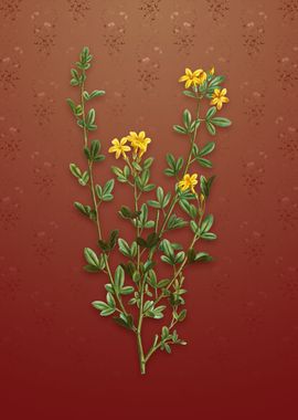 Yellow Jasmine Flowers