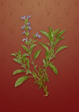 Vintage Garden Sage on Red