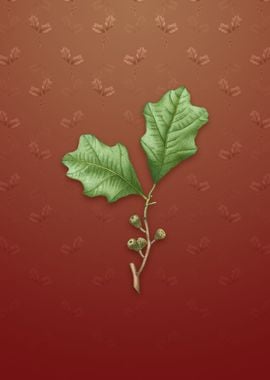 Vintage Bear Oak Leaves