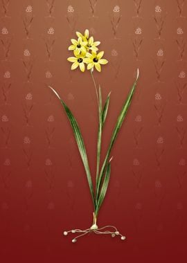 Vintage Ixia Fusco Citrina