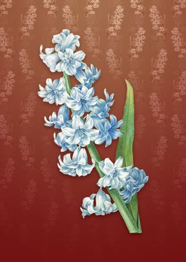 Vintage Oriental Hyacinth