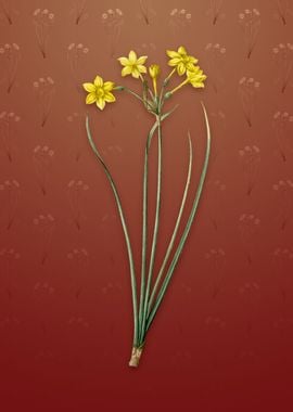 Vintage Rush Daffodil