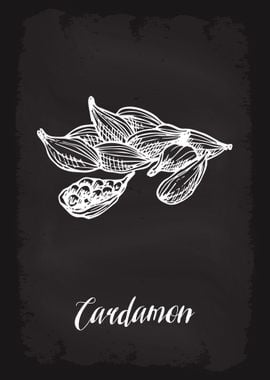 Kitchen Herbs Cardamon