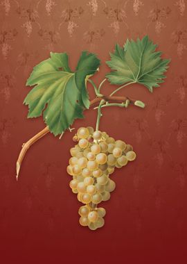 Grape Vine on Falu Red