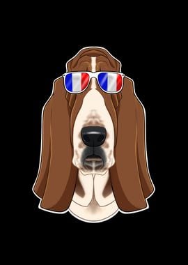 Basset Hound France