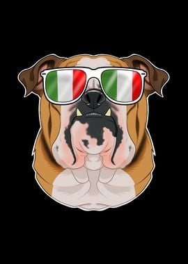 English Bulldog Italy