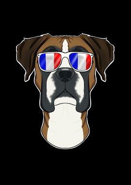 Boxer France Sunglasses