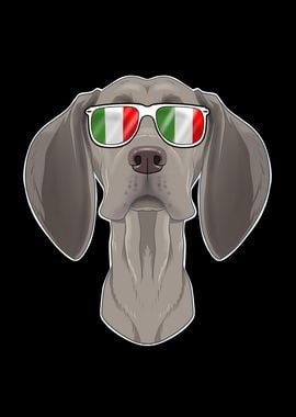 Weimaraner Italy