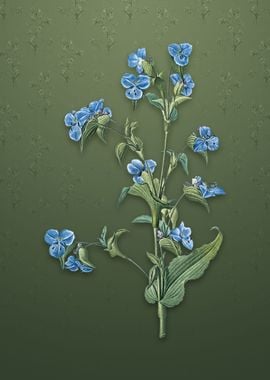 Vintage Commelina Tuberosa