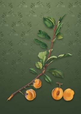 Apricot on Lunar Green