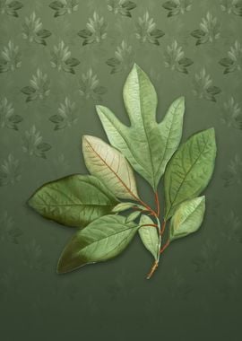 Bay Laurel on Lunar Green