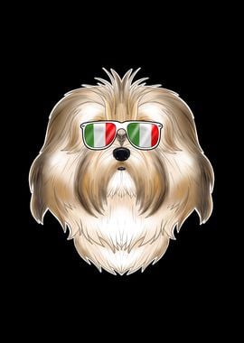 Havanese Italy Sunglasses