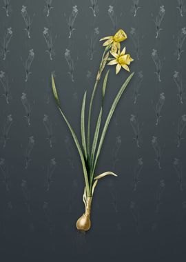 Narcissus Calathinus