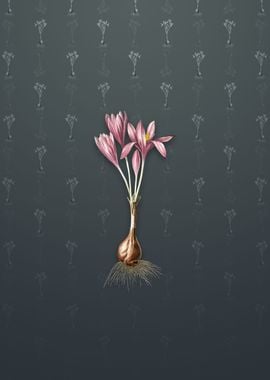 Vintage Autumn Crocus