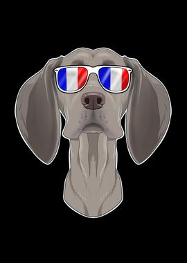 Weimaraner France