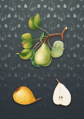 Vintage Pear on Slate Gray